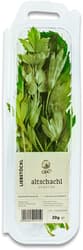 Altschachl lovage