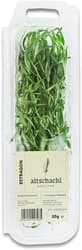 Altschachl Tarragon