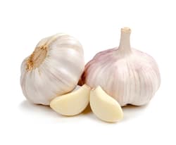BIO Knoblauch