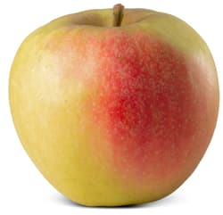 Sonnenobst Habeler  Apfel Elstar