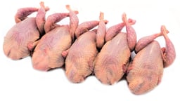 Poultry As A Whole