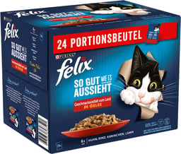 Katzen