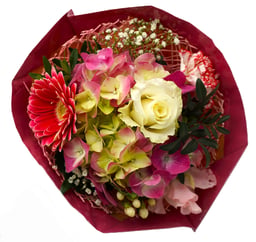 Schnittblumen