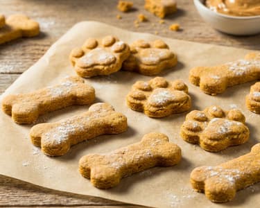Selbstgemachte Hundekekse | Knuspriger Snack