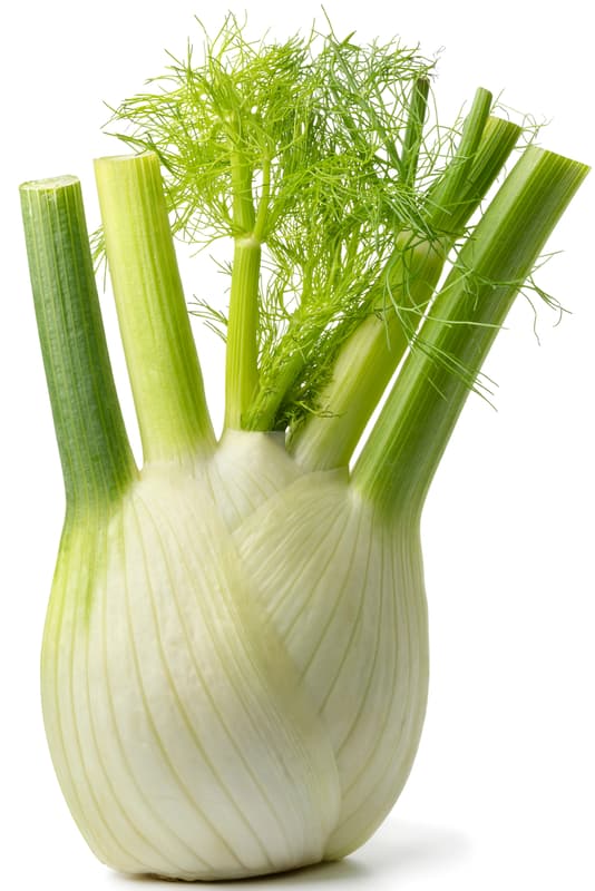Fennel
