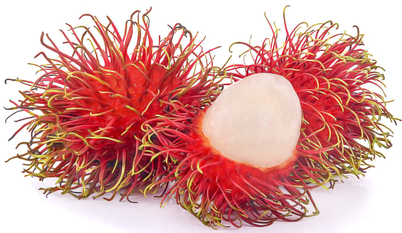 Rambutan