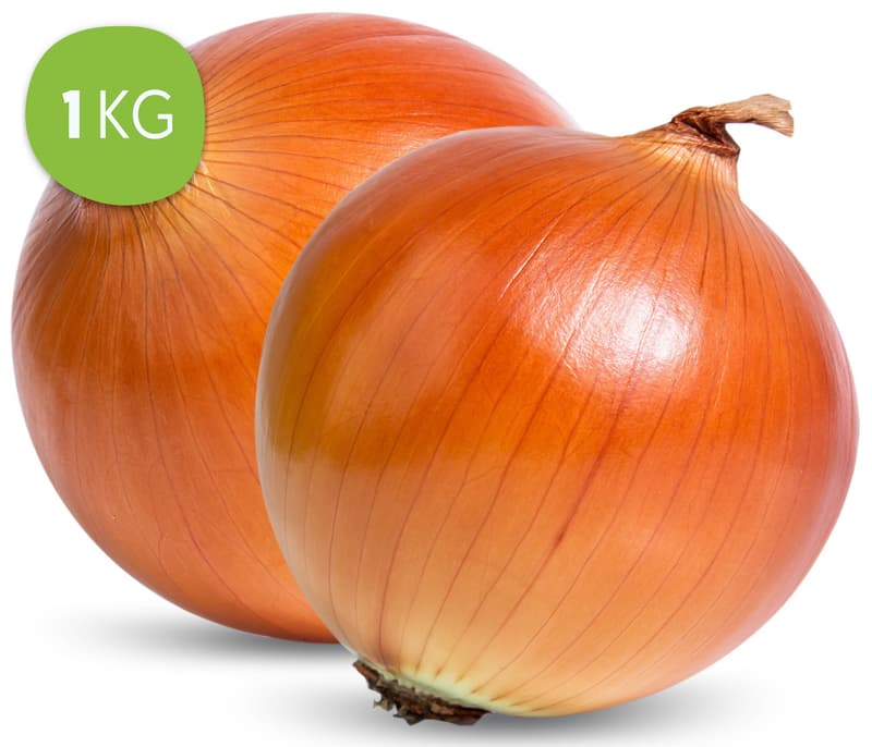 BIO Onion yellow in net