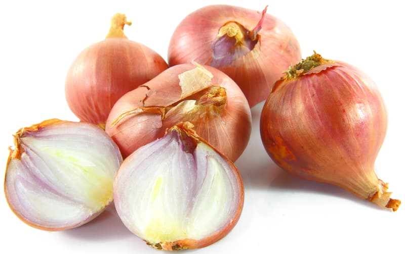 BIO Shallot onion in a net