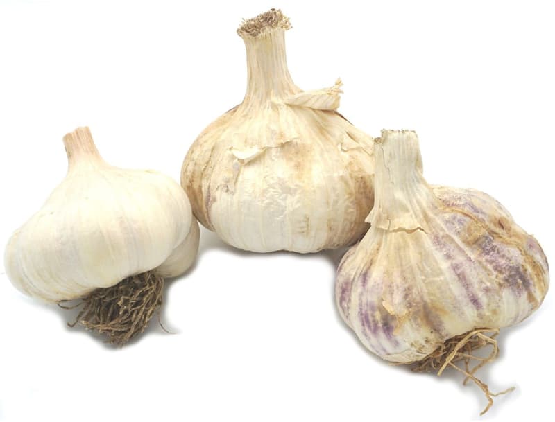 BIO Garlic in net