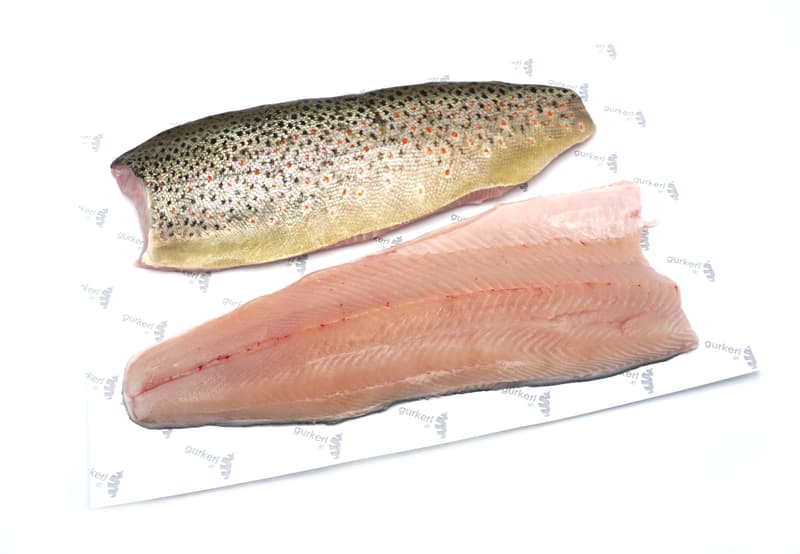 Gut Dornau brown trout fillet with skin