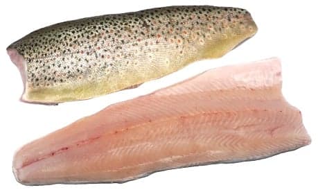 Gut Dornau brown trout fillet with skin