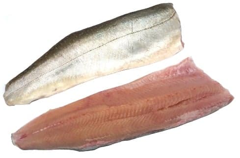 Gut Dornau brook trout fillet with skin