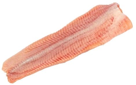 Gut Dornau Clarias catfish fillet without skin