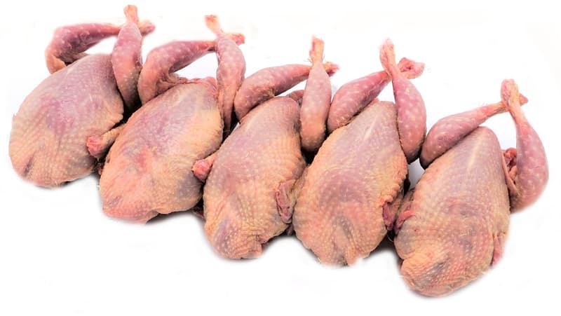 Quails ready to grill