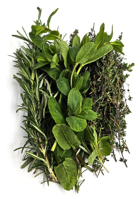 Altschachl Cocktail Herbs: Rosemary, Mint, Thyme