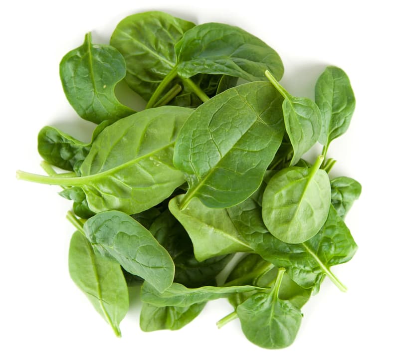 Efko Baby Spinach