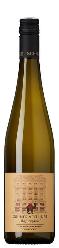 Zum Schwarzen Kameel Grüner Veltliner „Bognergasse“ 2025