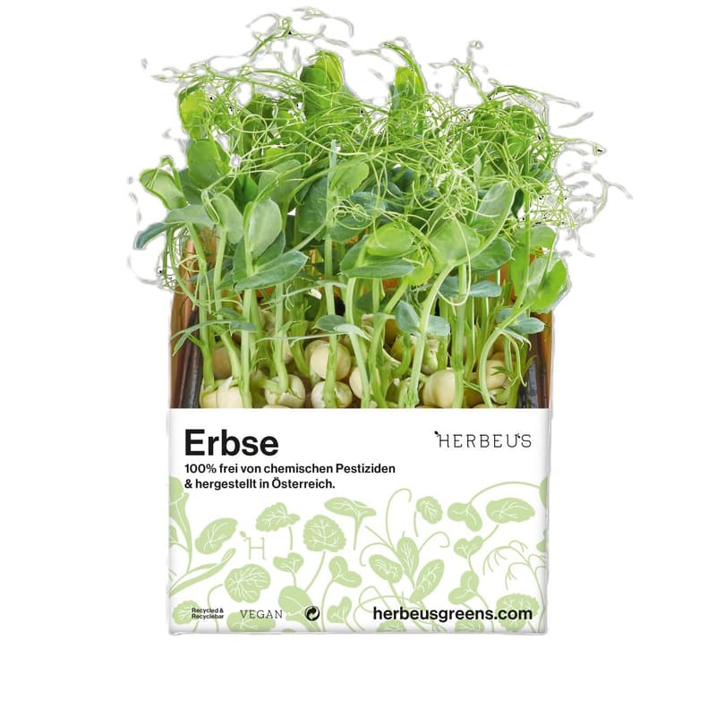 Herbeus Pea Sprouts