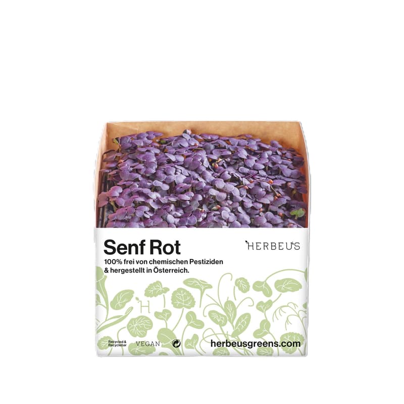 Herbeus Red Mustard Sprouts