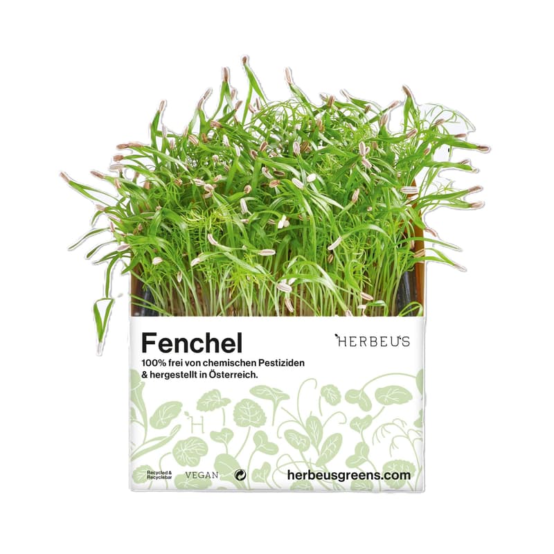Herbeus Fennel Sprouts