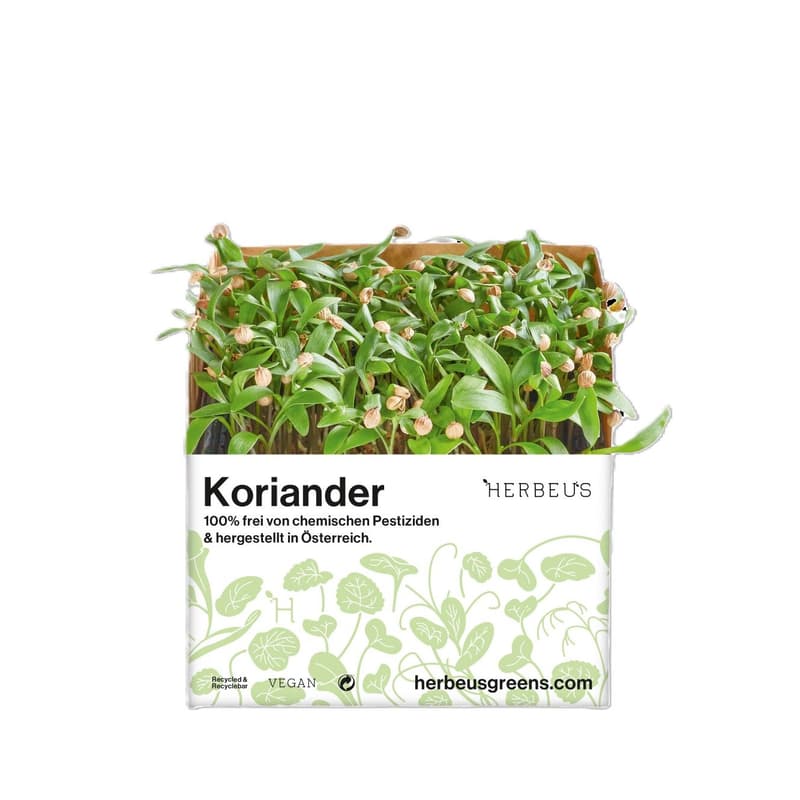 Herbeus Coriander Sprouts