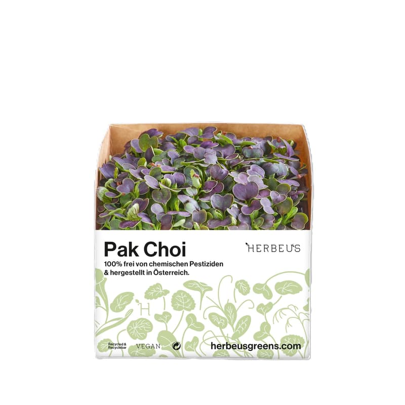 Herbeus Pak Choi Sprouts