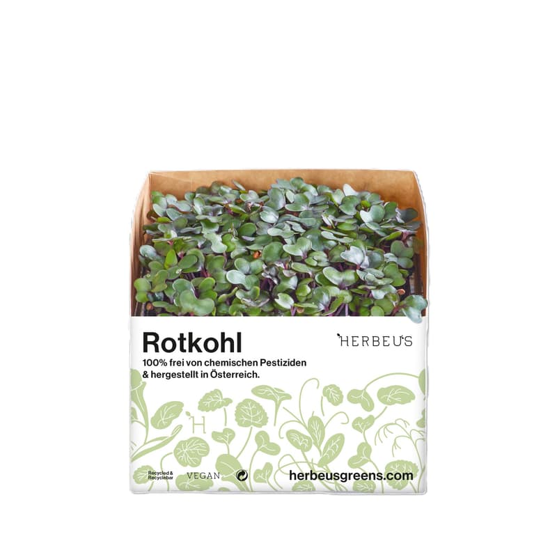 Herbeus Red Cabbage Sprouts