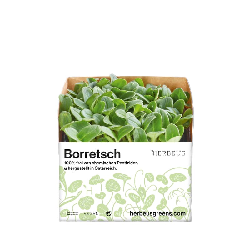Herbeus Borage Sprouts