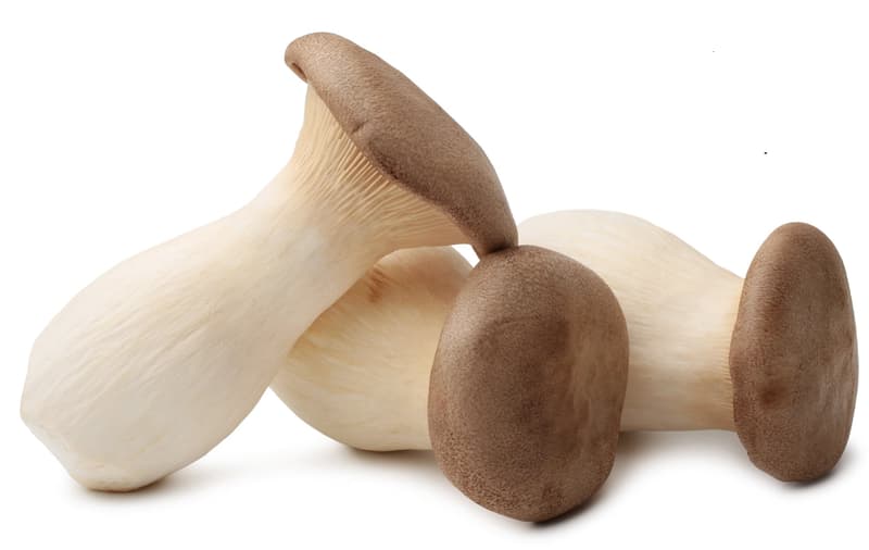 Fresh herb mushrooms
