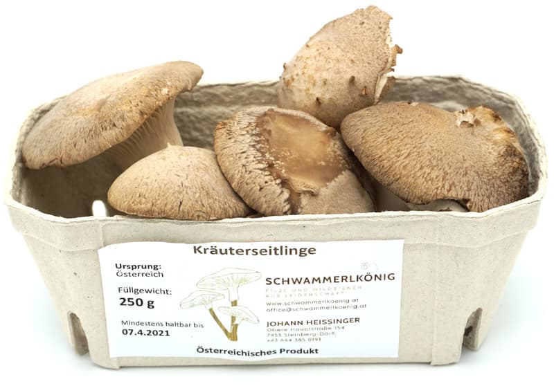 Fresh herb mushrooms