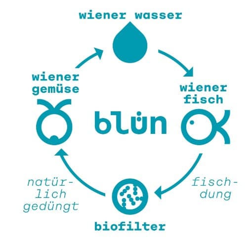 Blün Wiener Wels Filet