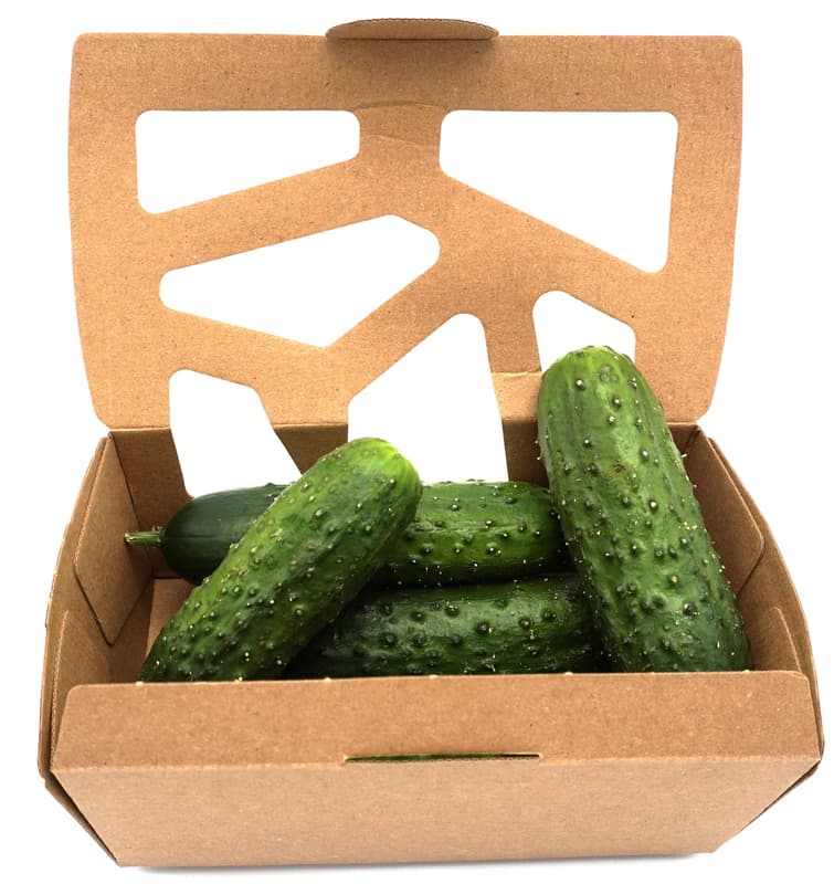 Mini Kochgurken