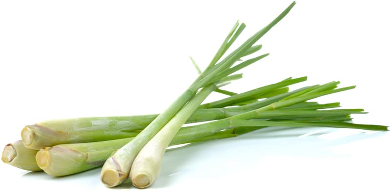 Lemongrass