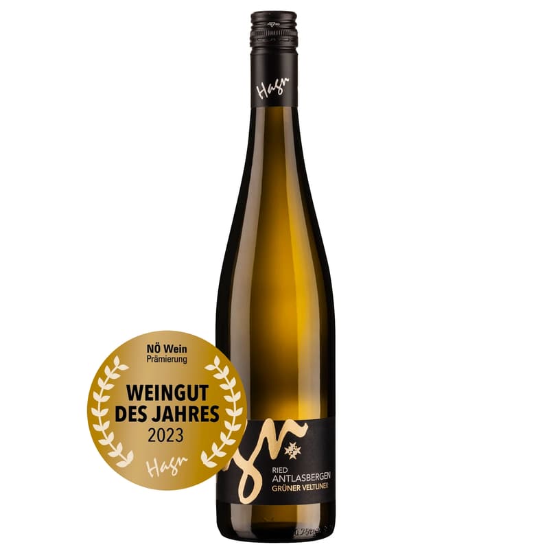 Winery Hagn "Antlasbergen" Grüner Veltliner 2020