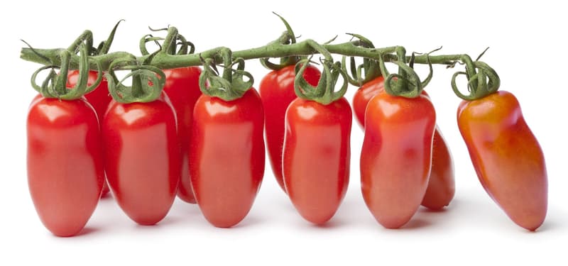 Blün Mini San Marzano Paradeiser