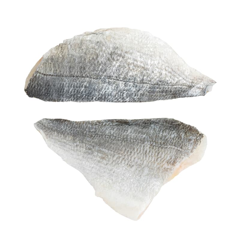 FJORU ASC Dorade Filet mit Haut