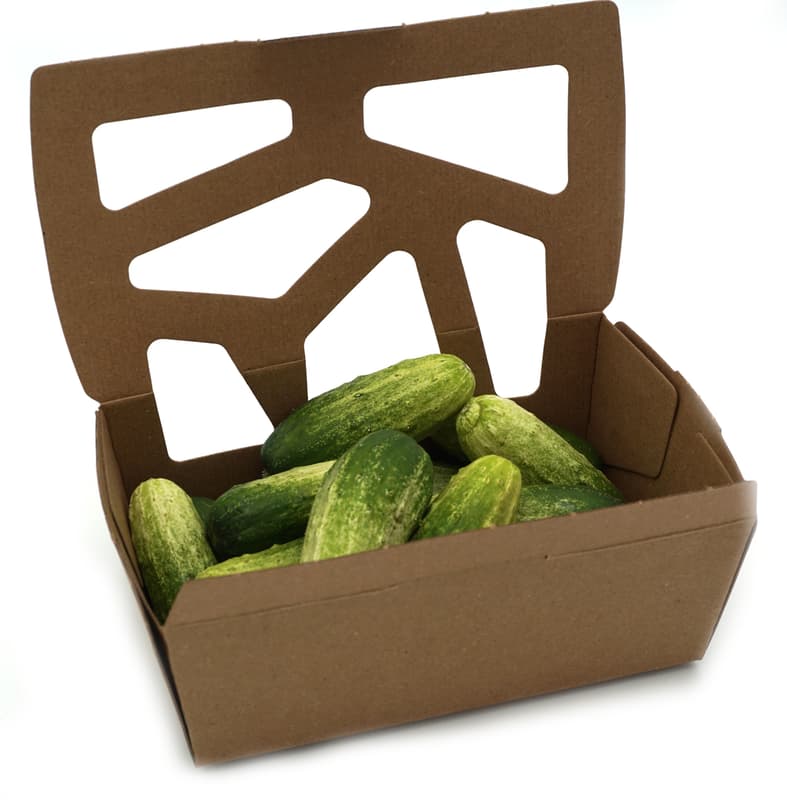 Mini Gurken, zweifarbig