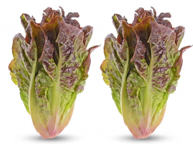 Salatherzen 2er