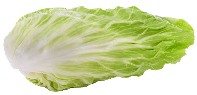Michi Bauers Zuckerhutsalat