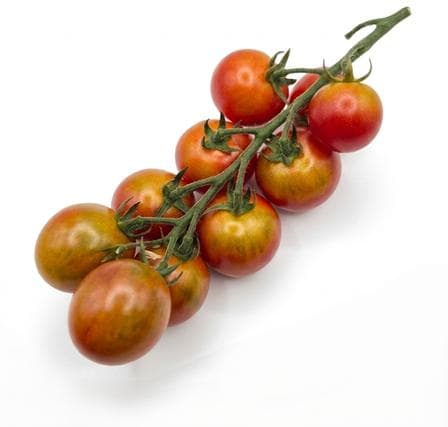 BIO Cocktail tomatoes "Apéro