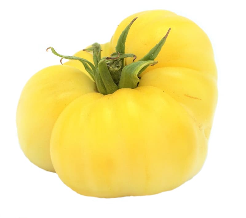 BIO tomato rarity "White Beauty