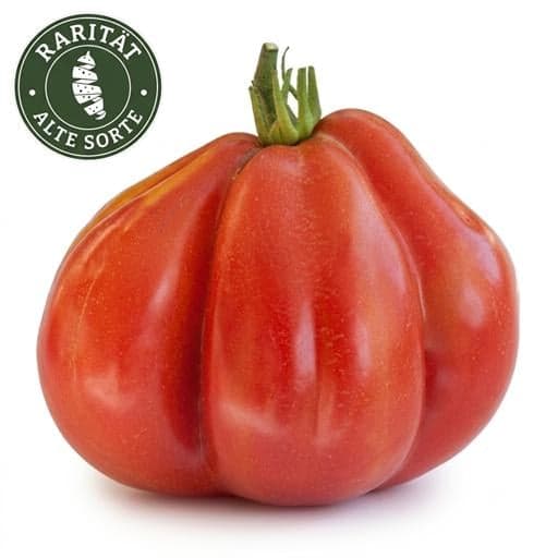 BIO Paradeiser Rarität "Liguria"