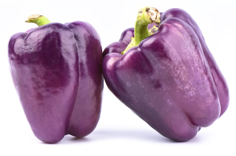 BIO Sweet pepper rarity "Mavras
