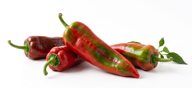 BIO Spitzpaprika Rarität "Roter Bulle"