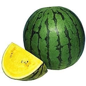 BIO Mini-Wassermelone kernarm, gelb