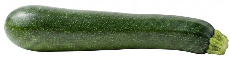 BIO Zucchini XXL, lose