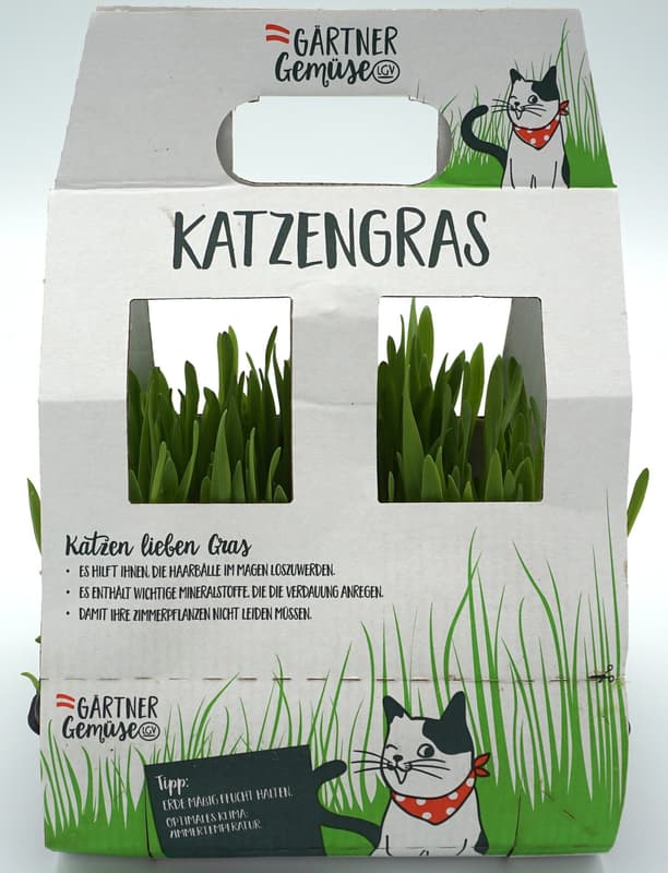 frisches Katzengras