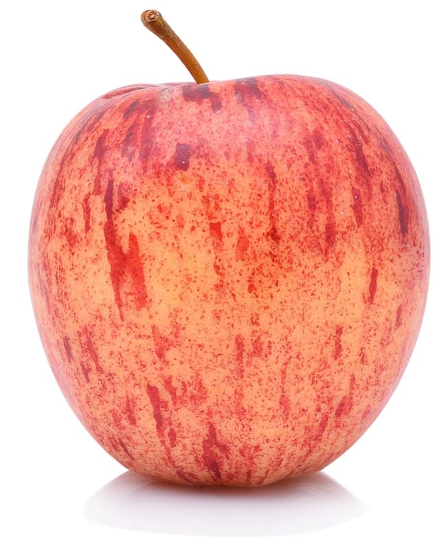 BIO Apfel Gala, lose