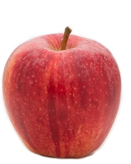 BIO Apfel Gala,Tasse
