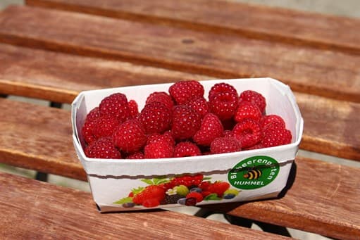 BIO Raspberries